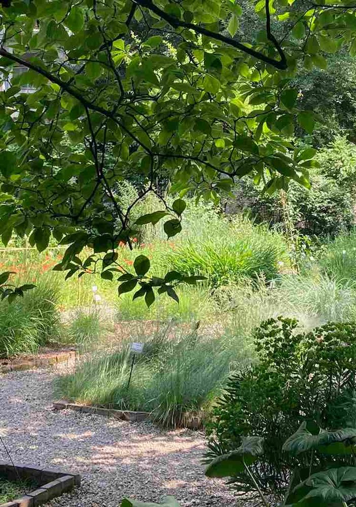 Dal 18 al 26 giugno, la rete degli orti botanici della Lombardia festeggia il solstizio d’estate