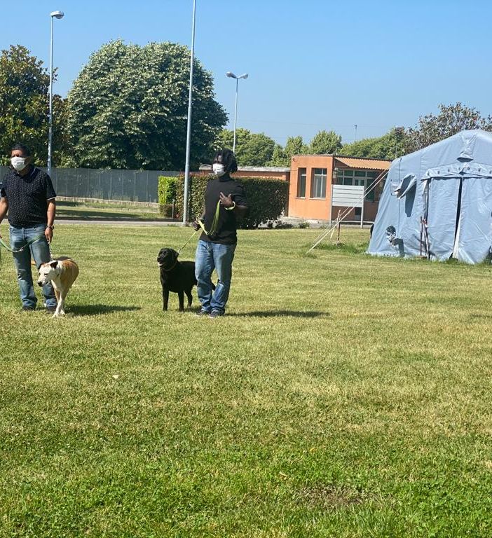 Progetto &quot;Qua la zampa&quot;, a Pavia i cani entrano in carcere per aiutare i detenuti nel percorso riabilitativo