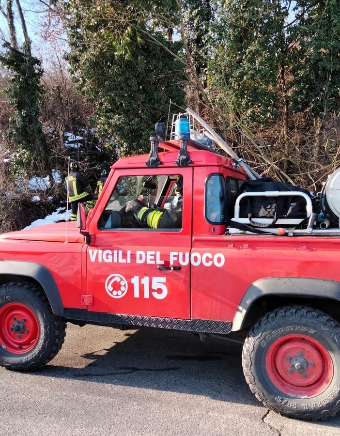 Oltrepò: caduta albero provoca l'interruzione della corrente elettrica