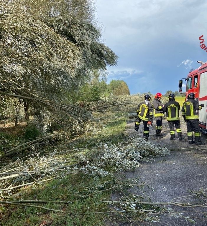 - (VIDEO) - Pavese flagellato dal maltempo, diversi interventi dei Vigili del fuoco