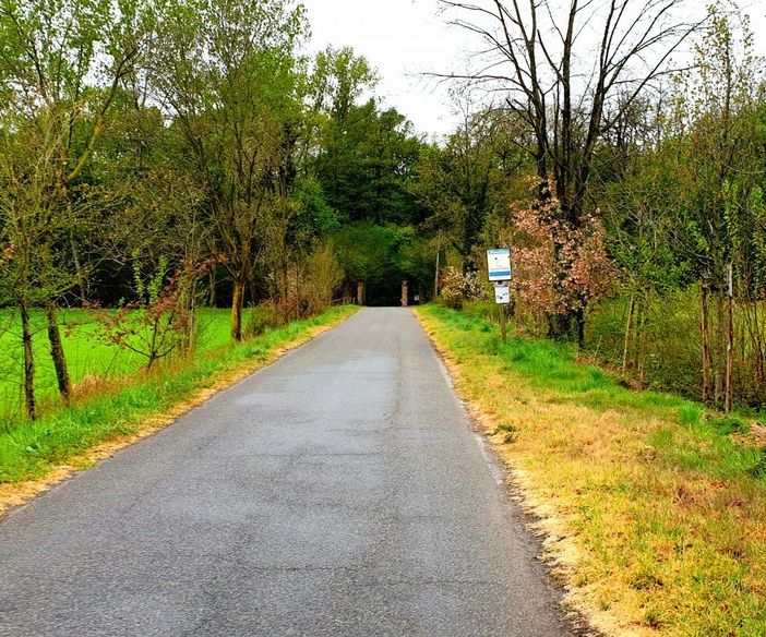 Magenta: smarriti nei boschi del Parco del Ticino