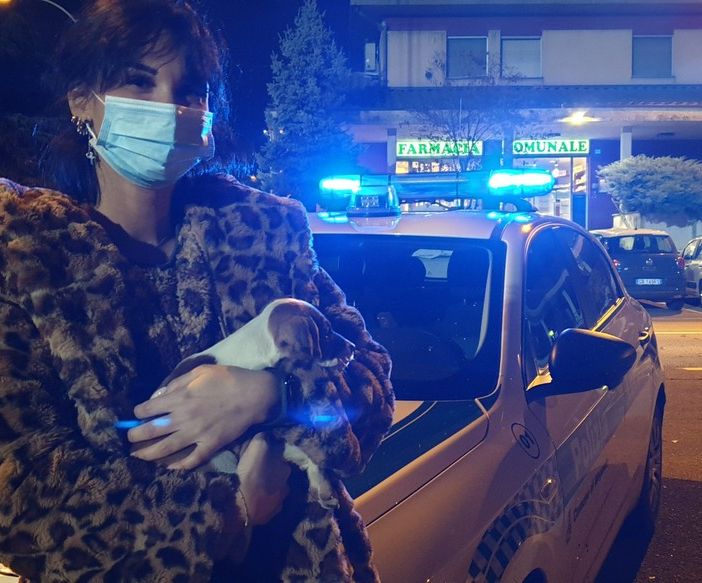 Magenta: abbandonato in mezzo ai rovi, cucciolo di cane messo in salvo. Il racconto di Serena (VIDEO)