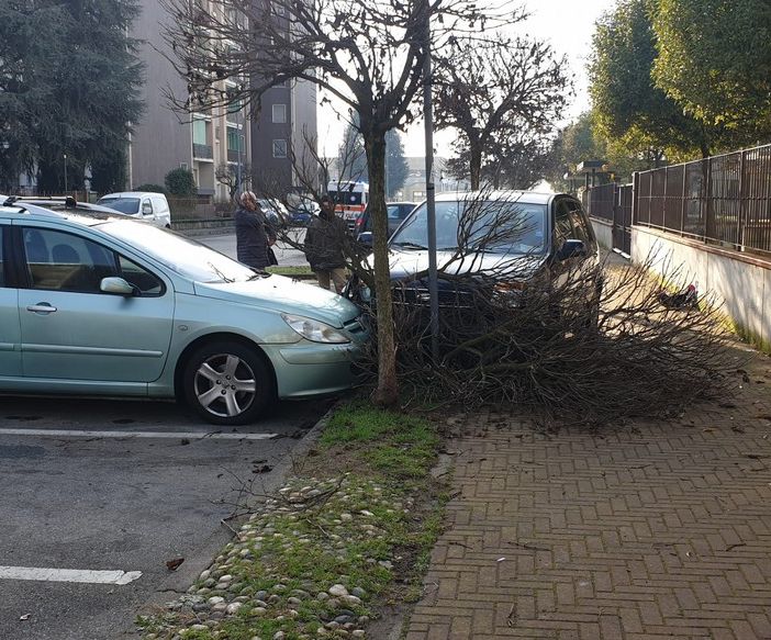 Corbetta: colto da malore alla guida si schianta contro un albero, due cittadini gli praticano il massaggio cardiaco