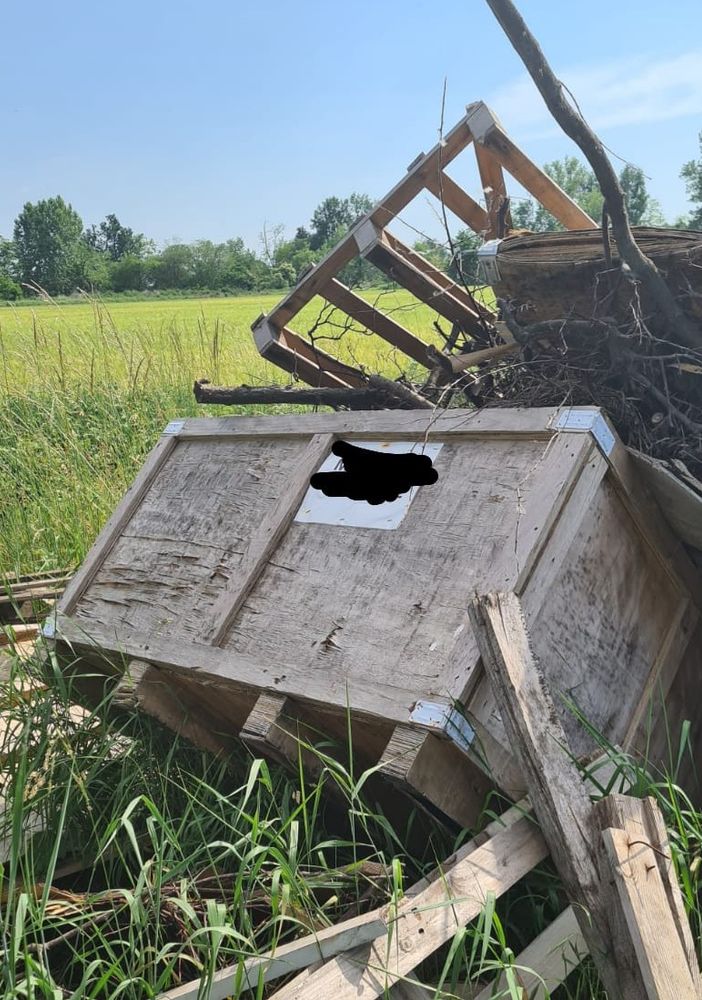 Rifiuti: abbandono nelle campagne di Castellazzo, identificato il responsabile