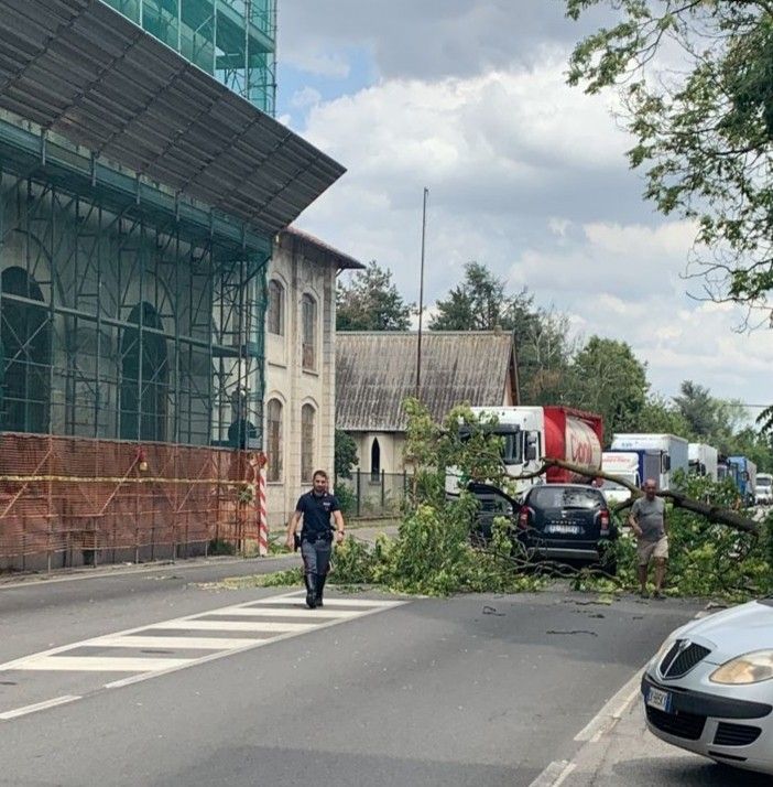 Magenta: vento abbatte le piante lungo la statale di Pontenuovo che finiscono su un’auto in transito