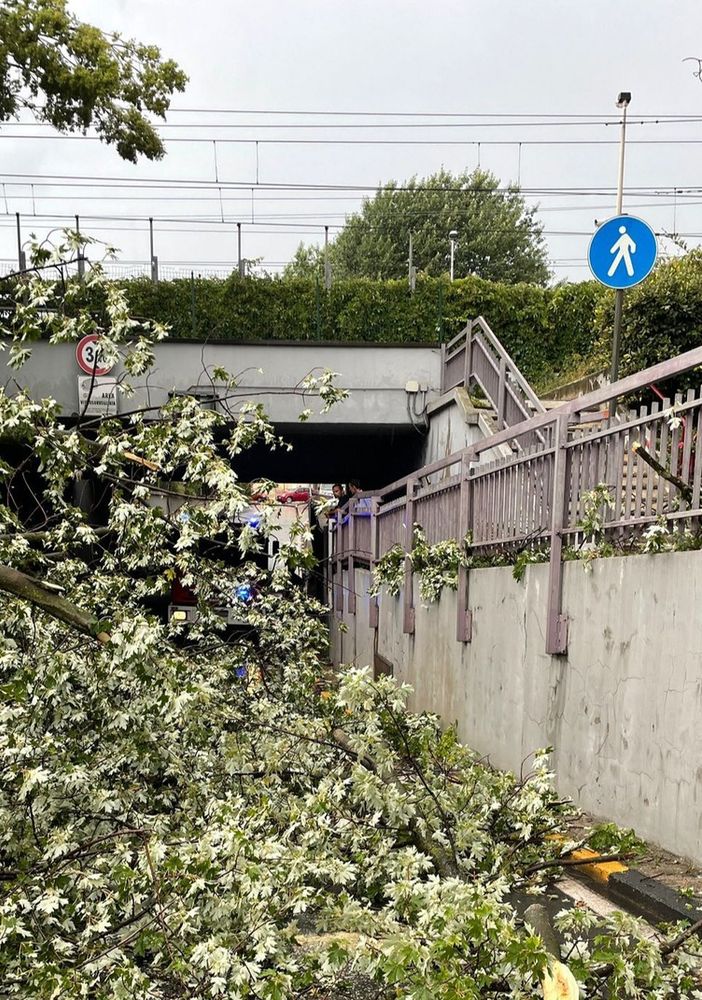 Magenta, il temporale abbatte un albero: bloccato il sottopasso ferroviario di via Espinasse per un’ora