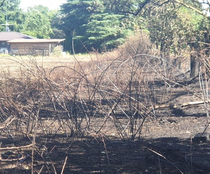 Magenta: incendio in vallata, domato dai Vigili del Fuoco. In salvo le abitazioni