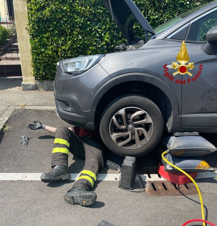 Gatto incastrato nel motore dell’auto a Cisliano salvato dai Vigili del Fuoco
