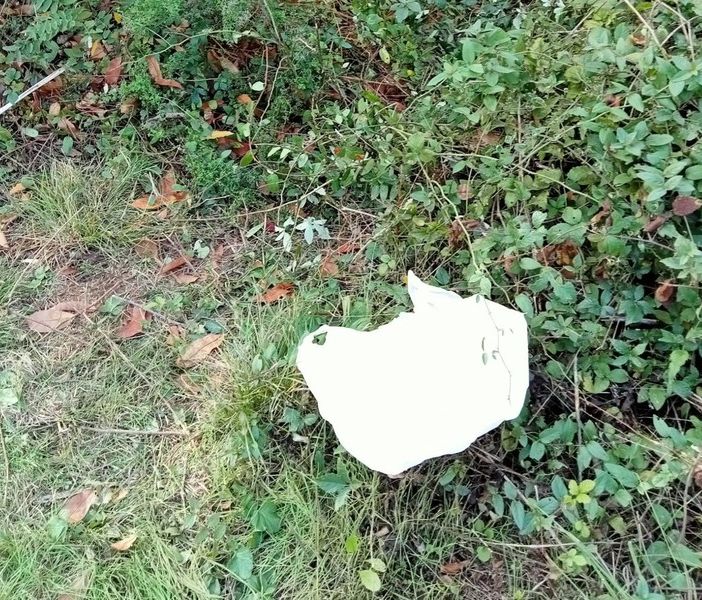 (foto da ilSaronno: il sacchetto in cui sono stati abbandonati i cagnolini nel parco)