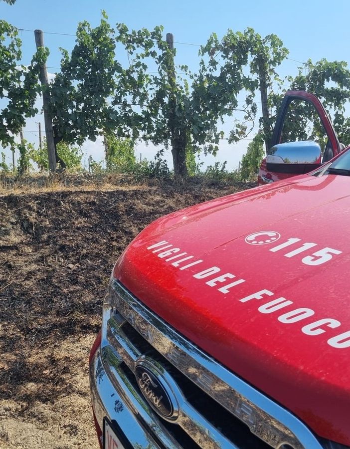 Montescano: incendio di sterpaglie, danneggiato parzialmente un vigneto