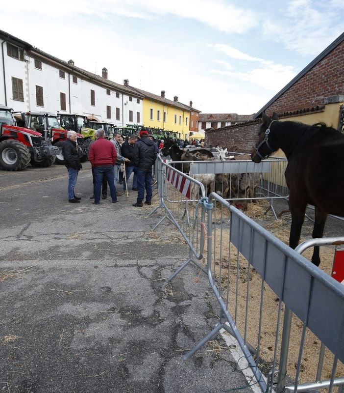 Le immagini della 37° edizione fiera agricola di Alagna