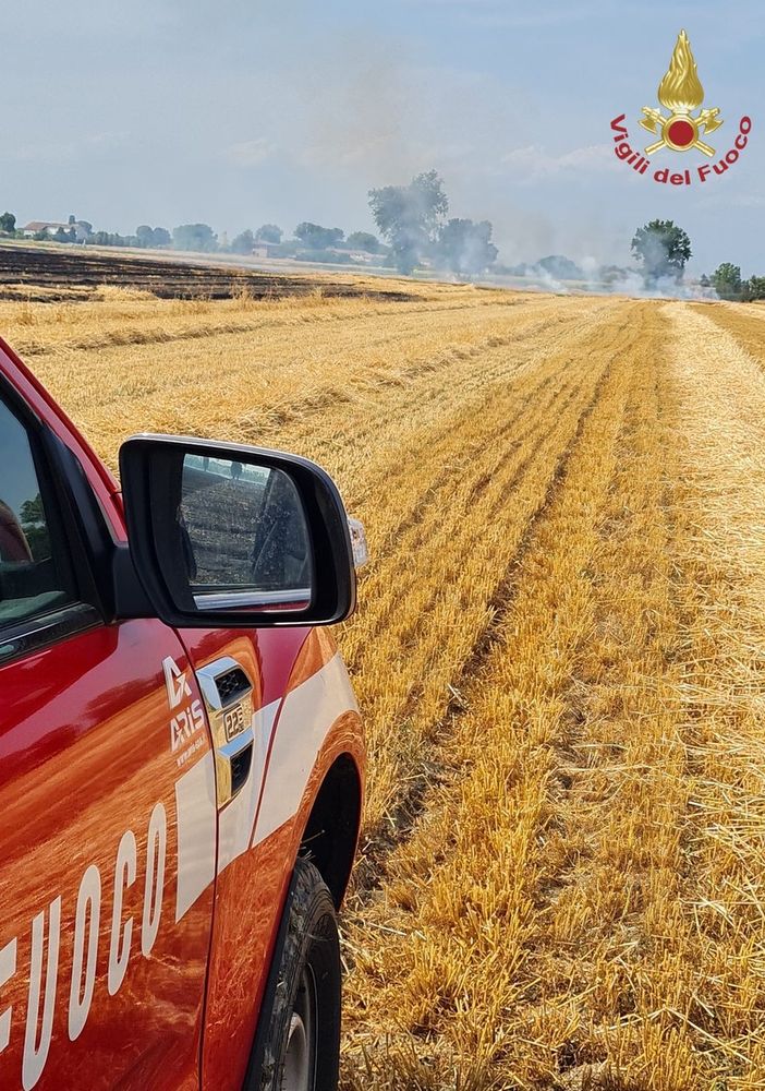 Pinarolo Po: incendio in un campo di grano trebbiato e sterpaglie. Vigili del fuoco in azione per domare le fiamme