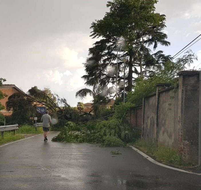 Maltempo sulla Bassa Lomellina, alberi caduti sulle strade, interrotta la Torre Beretti-Castellaro