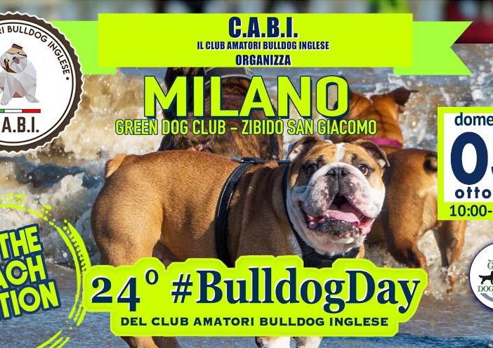 24° #BULLDOGDAY ancora in bilico causa maltempo: intanto diamo le indicazioni e le raccomandazioni in caso di conferma