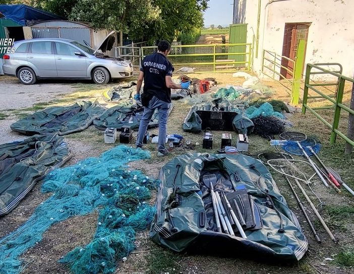 Razzia di pesci catturati con l’elettricità: blitz dei forestali in 3 regioni
