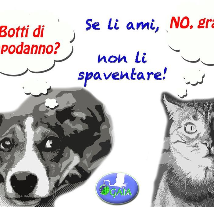 “No ai botti, SI’ ai biscotti”, appello dell’associazione Gaia e decalogo antibotti per cani e gatti