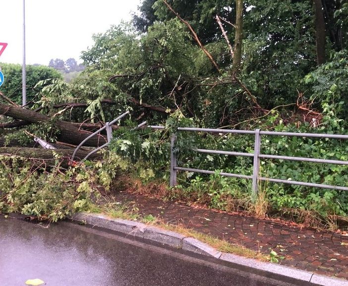 Un albero abbattuto dal nubifragio a Casorate Sempione (foto dalla pagina Facebook del sindaco Cassani)