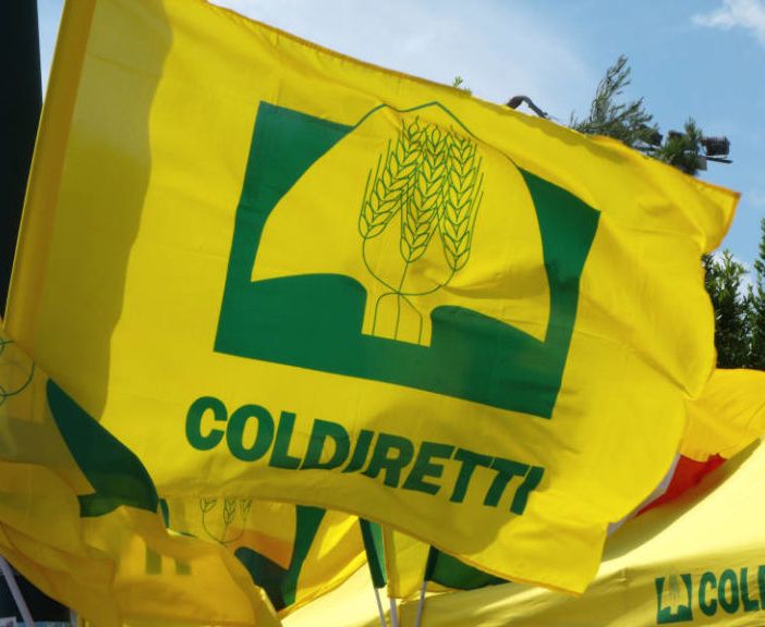 Prezzi: Coldiretti, venerdì 30/9 L’agricoltura scende in piazza