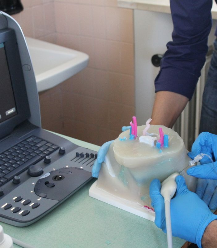 Blocco percutaneo del ganglio stellato: al San Matteo due giornate di formazione per diffondere l’utilizzo di questa tecnica