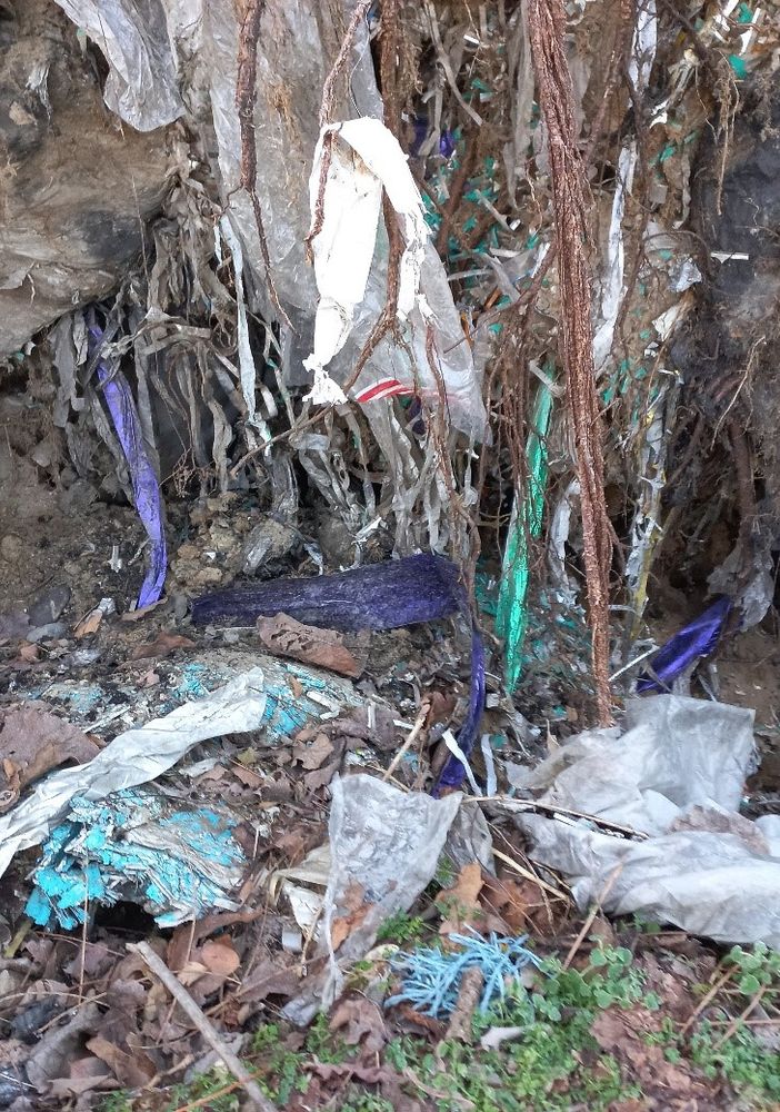 Gambolò: scoperti rifiuti speciali interrati in un'area boschiva di 4.500 metri quadrati