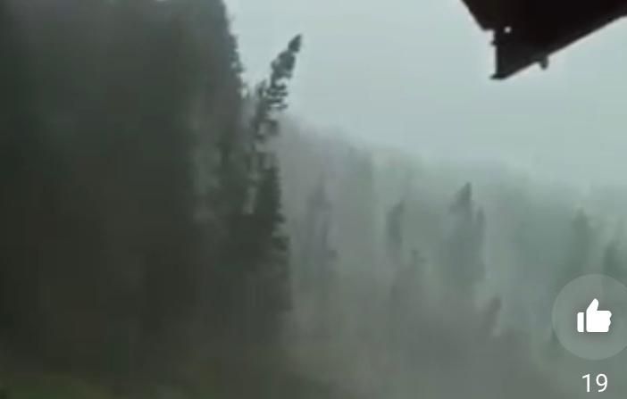 L'ESTATE DEI DOWNBURST - VIDEO. In Cadore a Alto Adige la furia del vento piega e spezza gli alberi come grissini