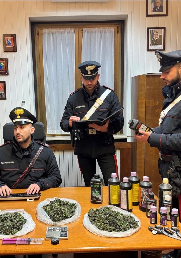 Chignolo Po: 28enne accoltellato dalla moglie, i carabinieri scoprono un locale per la produzione di marijuana