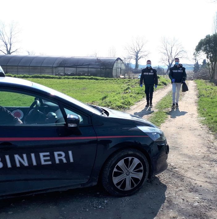 Vigevano: &quot;market&quot; della droga in azienda agricola, arrestato un 64enne