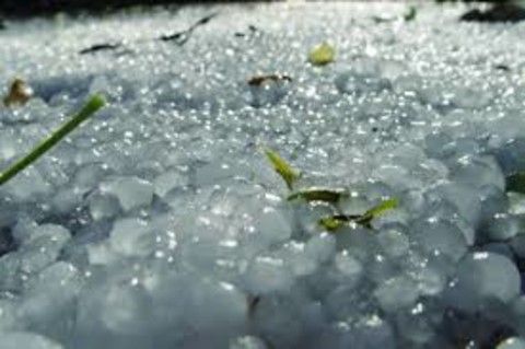 Maltempo: Coldiretti preoccupata, grandine sui campi ma il Po risale solo di 1cm