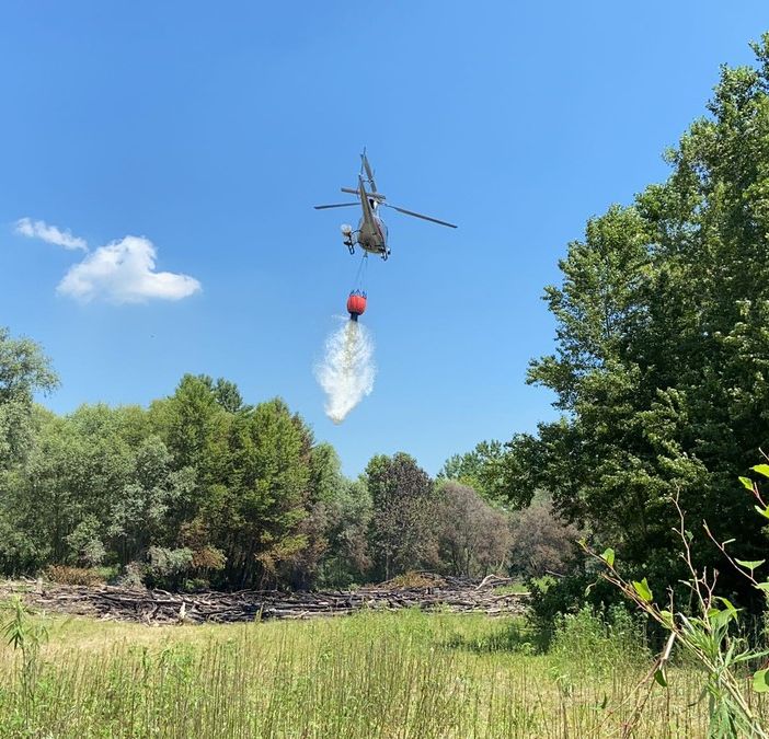 Mezzana Bigli: incendio brucia due ettari di fogliame e tronchi, salvato un gregge di pecore