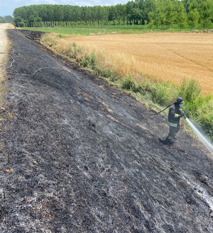 Suardi: sterpaglie in fiamme sull'argine, intervengono i Vigili del fuoco