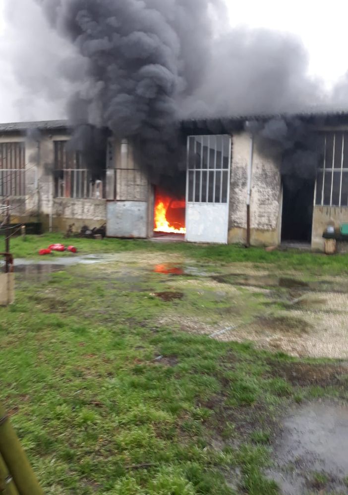 Ferrera: auto in fiamme sulla statale Sannazzaro-Torre Beretti, intervegono i Vigili del fuoco