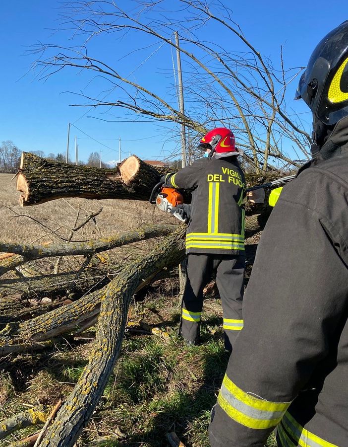 Mortara: cade un albero sulla linea elettrica in via Maestra, intervengono i Vigili del fuoco