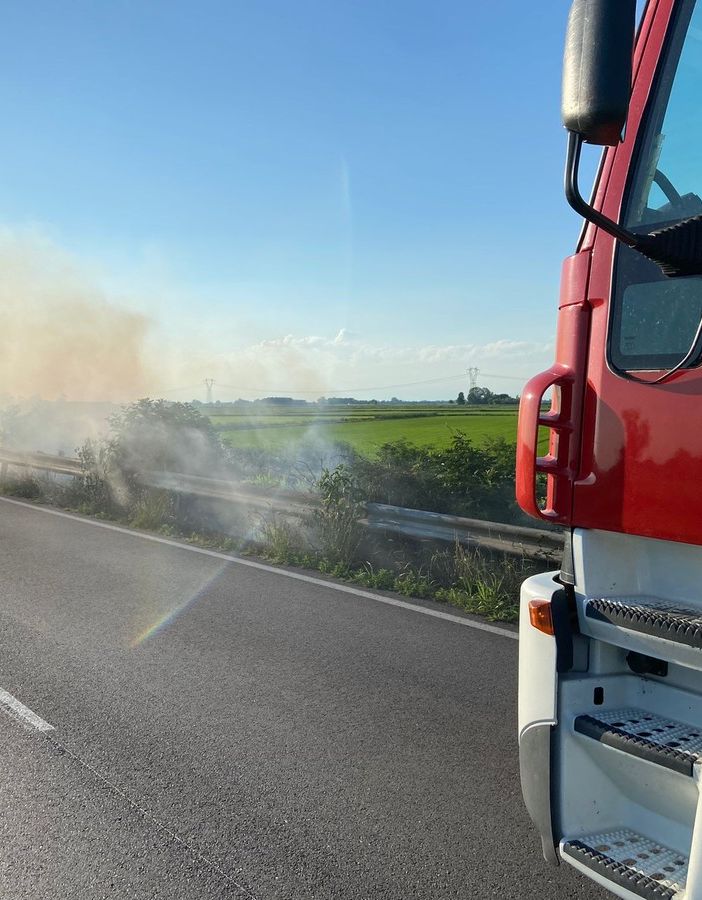 Sartirana: incendio di sterpaglie sulla provinciale 194, Vigili del fuoco in azione