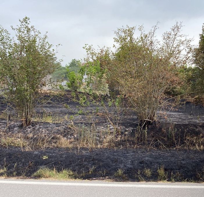 Pieve del Cairo: incendio di sterpaglie in cascina, Vigili del fuoco in azione