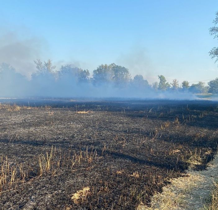 Pieve del Cairo: rogo di sterpaglie nell'area golenale del Po