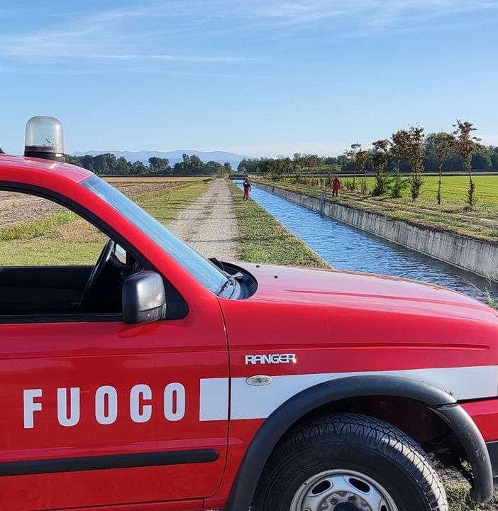 Gropello Cairoli: daino cade in un canale artificiale pieno d'acqua con sponde in cemento, messo in salvo dai Vigili del fuoco