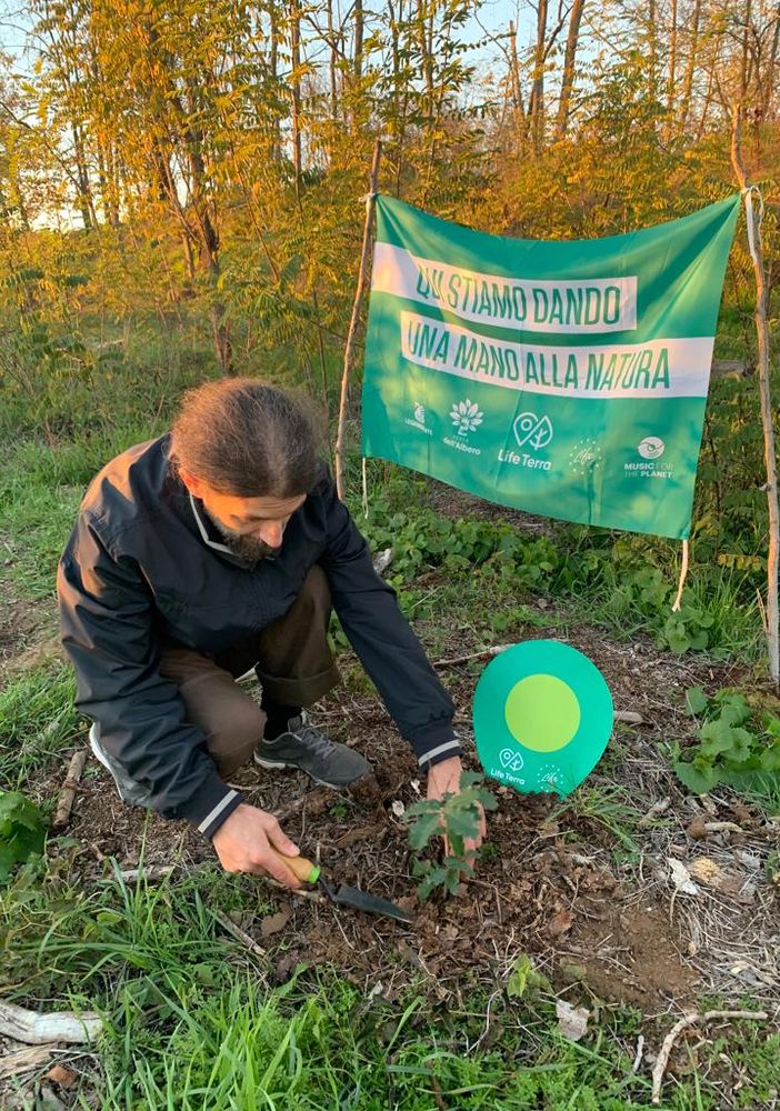 FOTO. Mede, Festa dell'albero: piantate due querce al vivaio del nuovo bosco urbano