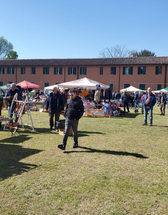 Domenica 21 Maggio torna a Pavia l’appuntamento con la sostenibilità: all’allea di viale Matteotti il Mercatino del Ri-Uso nuova vita alle cose