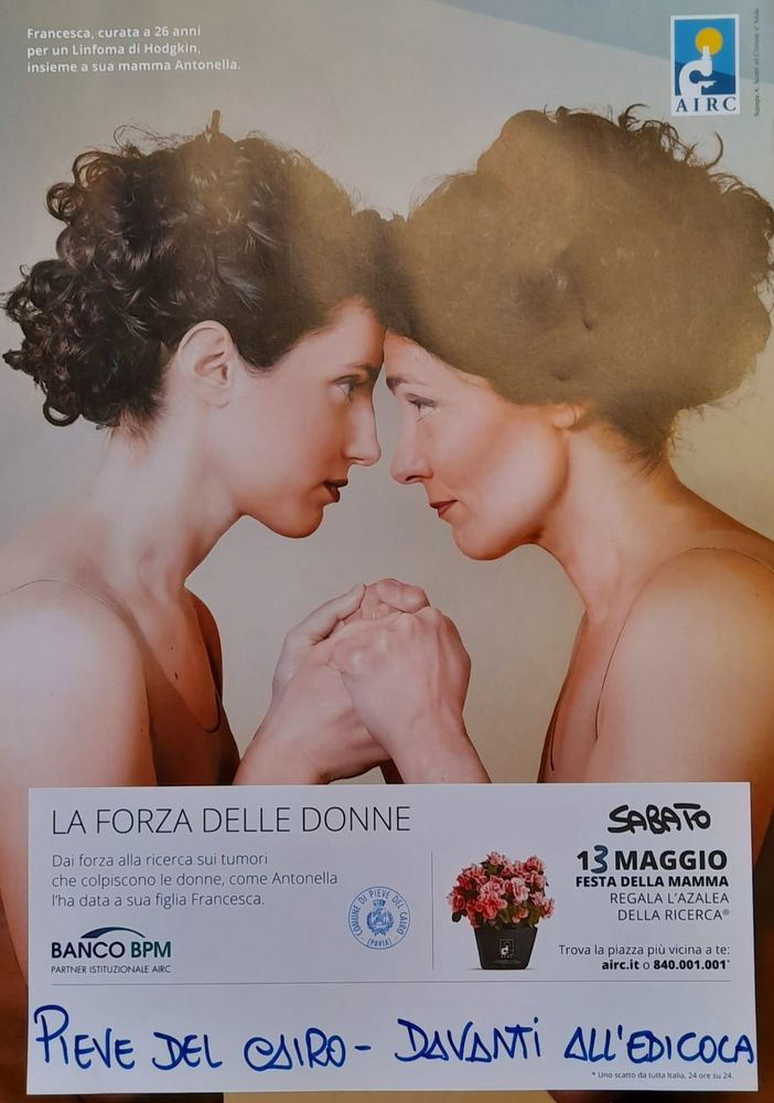 Pieve del Cairo: torna l'appuntamento con &quot;l'Azalea della Ricerca&quot;