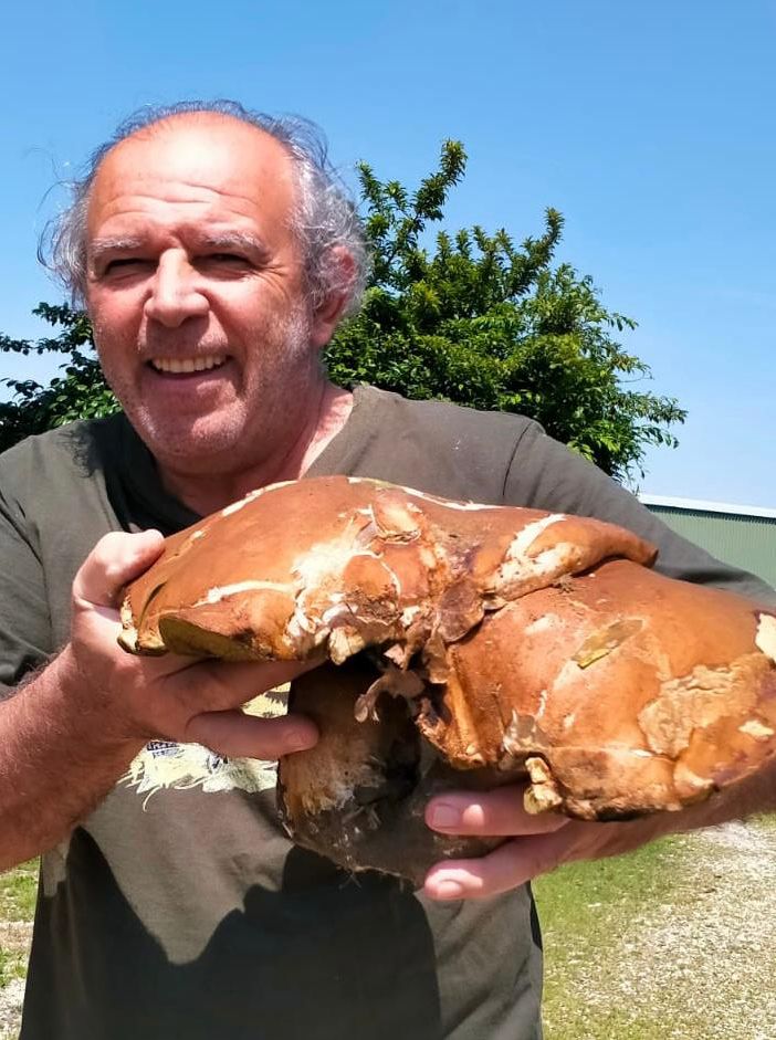Dario Lucca mostra con orgoglio il porcino da record