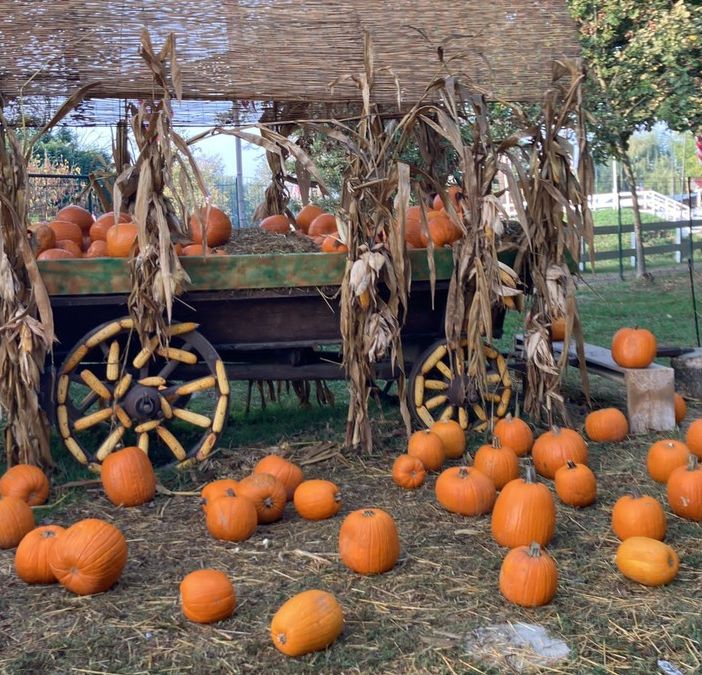 Al Villaggio delle Zucche la Magia di Halloween