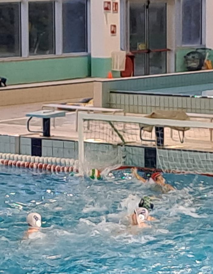 Pallanuoto, tris di vittorie per le squadre dell'H2Sport Vigevano