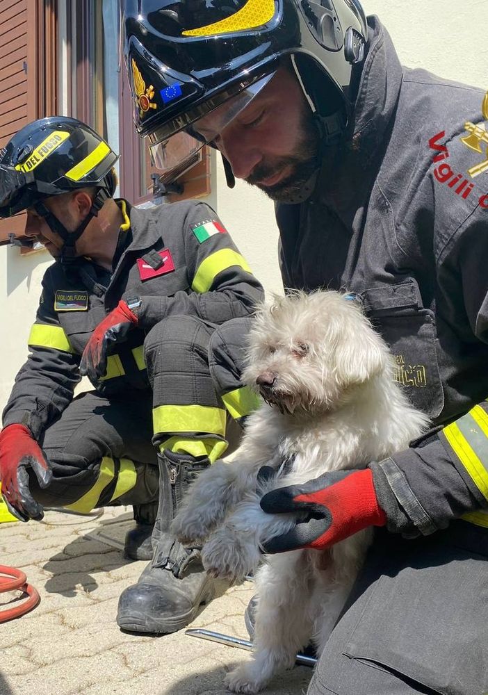 Vellezzo Bellini: cane rimane incastrato sotto a un'auto, liberato dai Vigili del fuoco