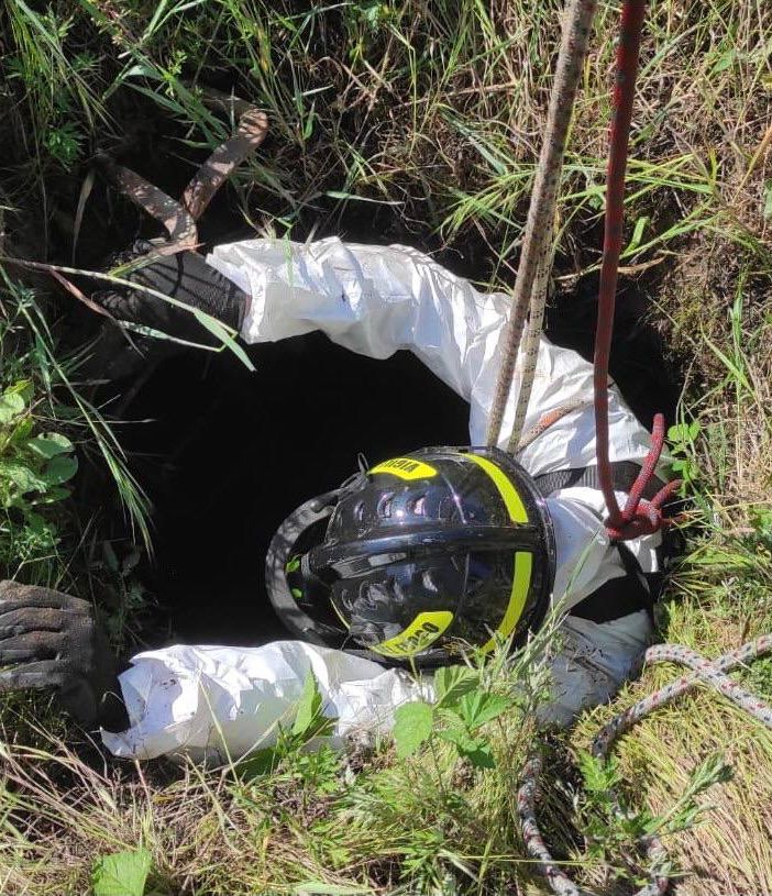 Zinasco: pecora cade in un pozzo profondo, salvata dai Vigili del fuoco