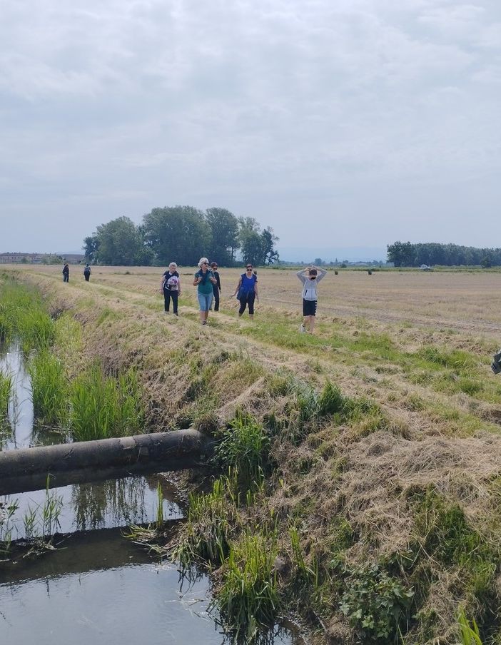 Passeggiata da Suardi all'abbazia di Acqualunga, le immagini