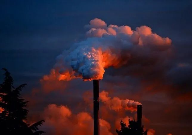 WWF Lodigiano &amp; Pavese contro il quadruplicamento di un inceneritore in Lomellina