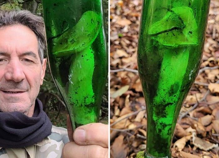 Messaggio nella bottiglia? No, è un fungo. La curiosa scoperta sui monti della Liguria