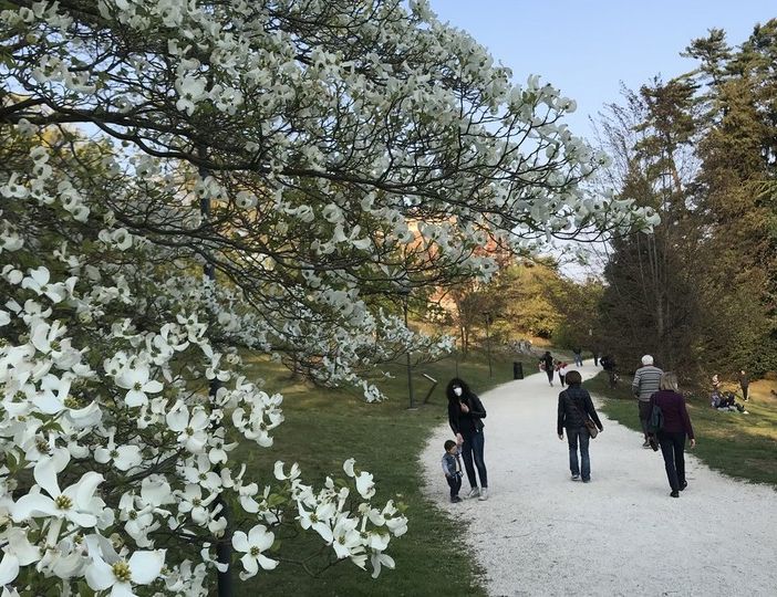 La Lombardia da oggi in zona gialla: ecco cosa cambia per spostamenti, bar, ristoranti e visite a parenti e amici