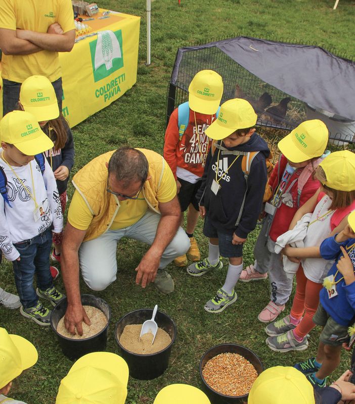 Scuola, 500 bambini colorano di giallo il Castello di Vigevano per la festa finale del progetto scolastico di Coldiretti Pavia