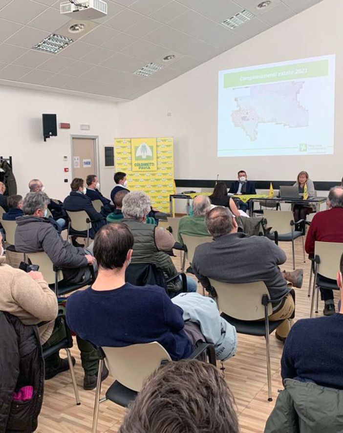 Riso, summit di Coldiretti Pavia  tra nuove minacce e boom dei costi